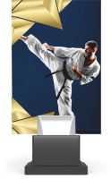 CG01B/KAR - Trofej Connect+ sklo karate H-19 cm