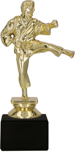 F10A/G - Figúrka plastová karate zlatá H-21 cm