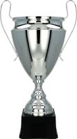 2020 - Pohár strieborný